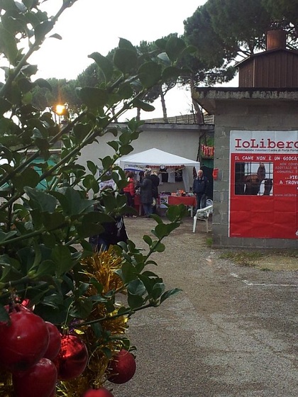 Festa Natale Cinodromo 16dic12 (7)