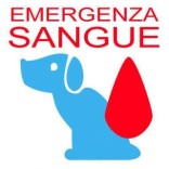 emergenza sangue