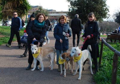 benedizione animali 2014_ 1