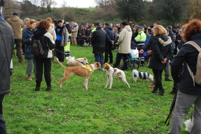 benedizione animali 2014_ 10