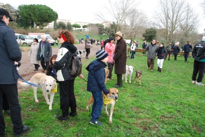 benedizione animali 2014_ 13