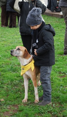 benedizione animali 2014_ 14