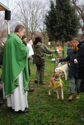 benedizione animali 2014_ 19