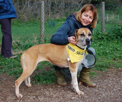 benedizione animali 2014_ 2