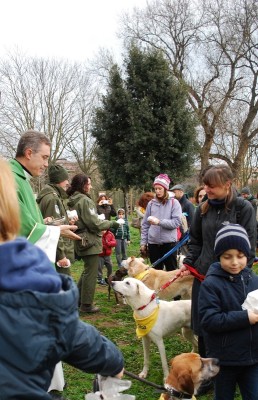 benedizione animali 2014_ 20