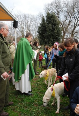 benedizione animali 2014_ 21