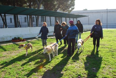 benedizione animali 2014_ 22