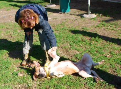 benedizione animali 2014_ 23