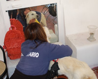 benedizione animali 2014_ 25