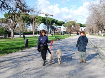 benedizione animali 2014_ 29