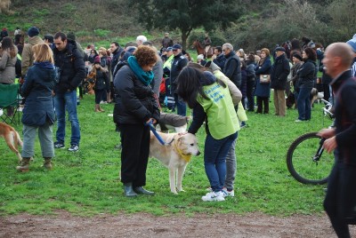 benedizione animali 2014_ 3