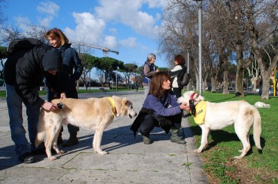 benedizione animali 2014_ 32