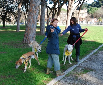 benedizione animali 2014_ 33