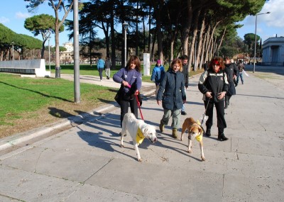 benedizione animali 2014_ 34