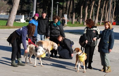 benedizione animali 2014_ 35