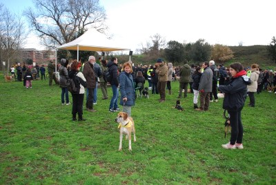 benedizione animali 2014_ 4