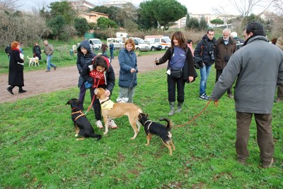 benedizione animali 2014_ 5