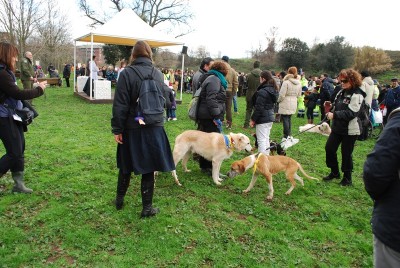 benedizione animali 2014_ 8