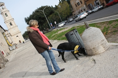 CALIMERO_2014 io cane di canile 12