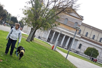 CALIMERO_2014 io cane di canile 21