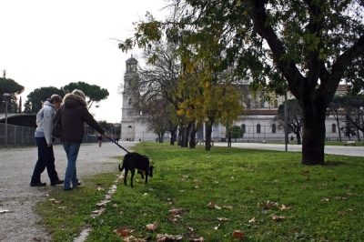 CALIMERO_2014 io cane di canile 3