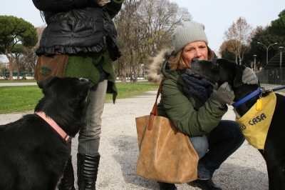 CALIMERO_2014 io cane di canile 6