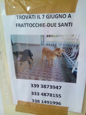 FRATTOCCHIE