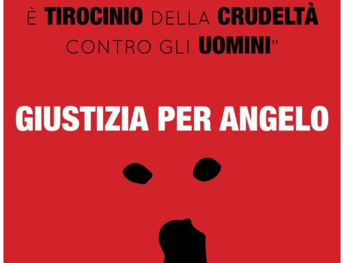 UNITI PER ANGELO…PER NON DIMENTICARE…PER CHIEDERE GIUSTIZIA!!! ECCO LE FOTO