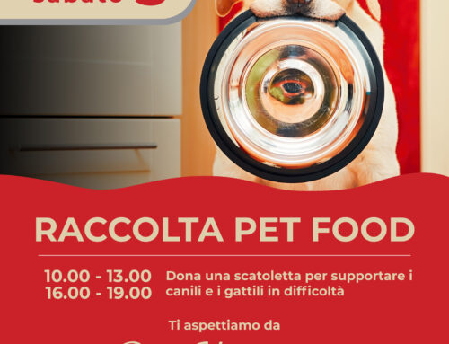 Raccolta cibo di sabato 5 ottobre: si riparte dai Pet Village di Roma