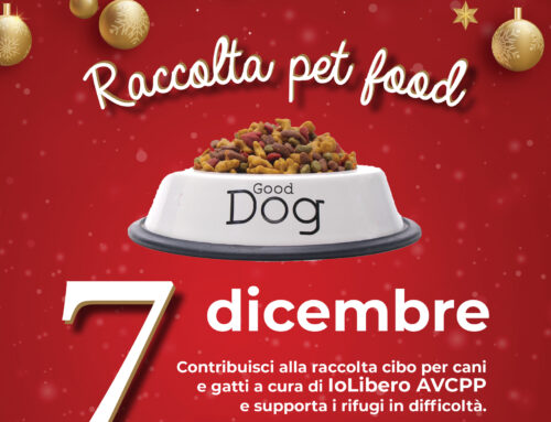 Christmas pet food pantry: a Spinaceto torna la raccolta cibo in edizione Natale